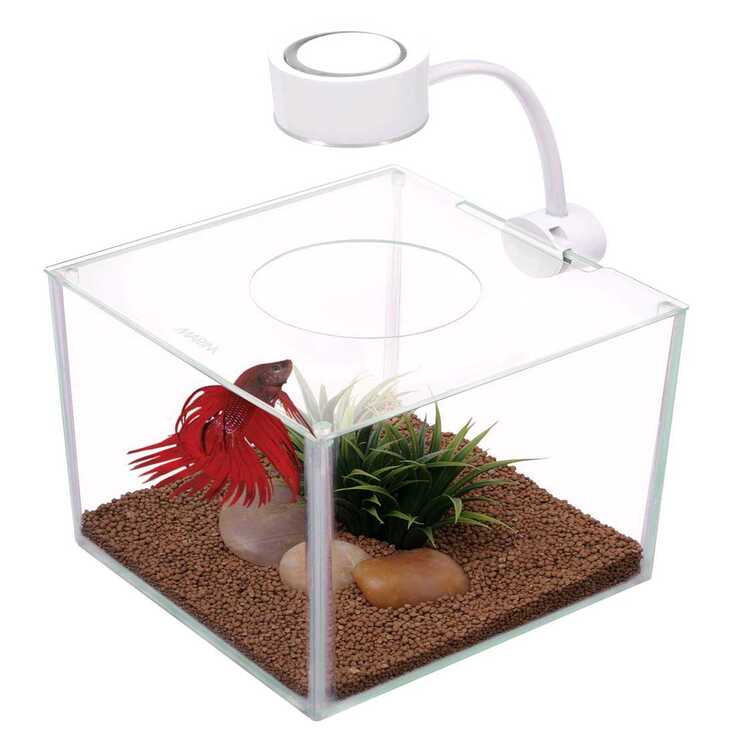 ACUARIO BETTA TRANSPARENTE